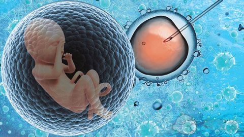 天津哪家借卵做试管代生医院第二代技术成功率高？