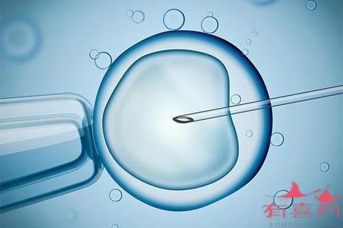 偏高偏低都不好!不同时期促卵泡成熟激素正常值一览
