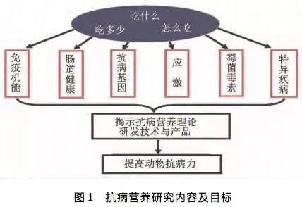 泰国LRC生殖中心三代供卵做试管哪里代生试管医生有哪些