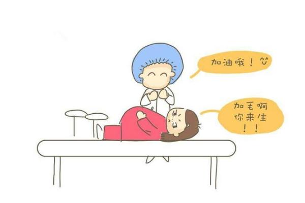 去医院借卵做试管的流程