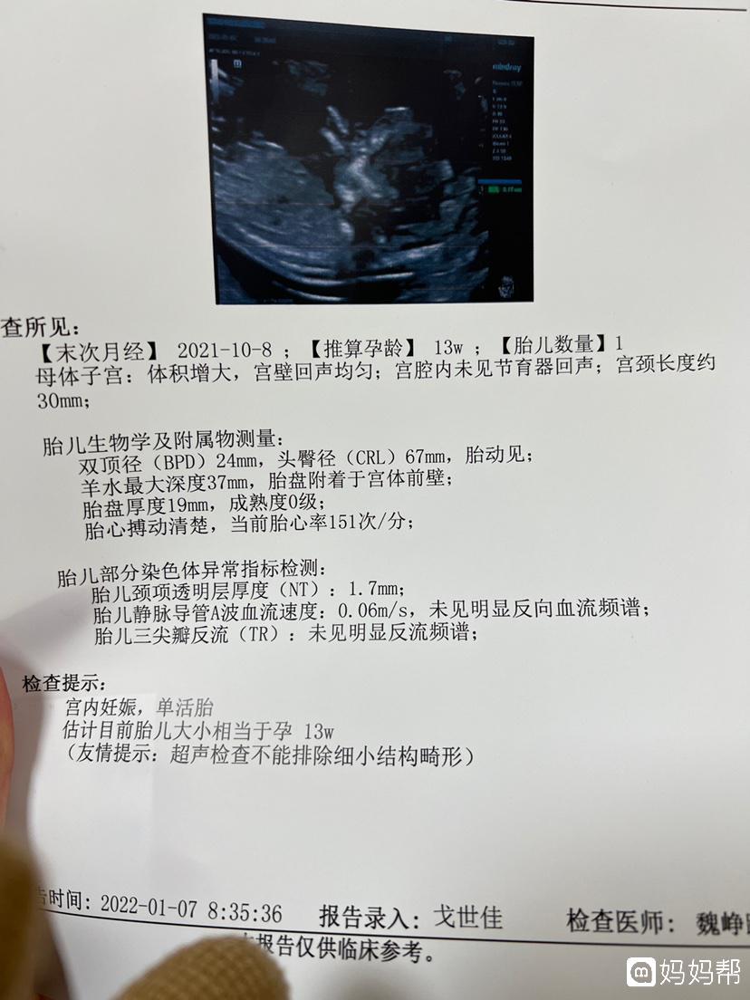 借卵做试管期间自然怀孕