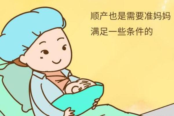 赠卵试管婴儿是自己丈夫的孩子吗