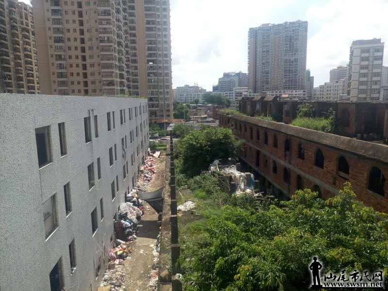 做借卵试管婴儿是什么生殖方式有性还是无性