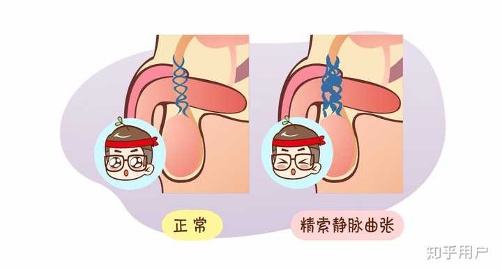 哈尔滨试管婴儿费用哪便宜