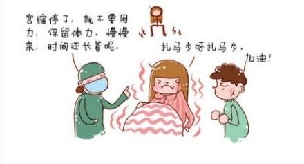 试管婴儿3级是什么级别
