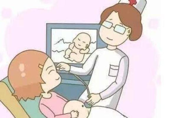 试管代怀真实吗一般做几次成功率高