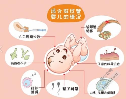 试管怀孕为啥老出血+试管怀孕早期为啥出血