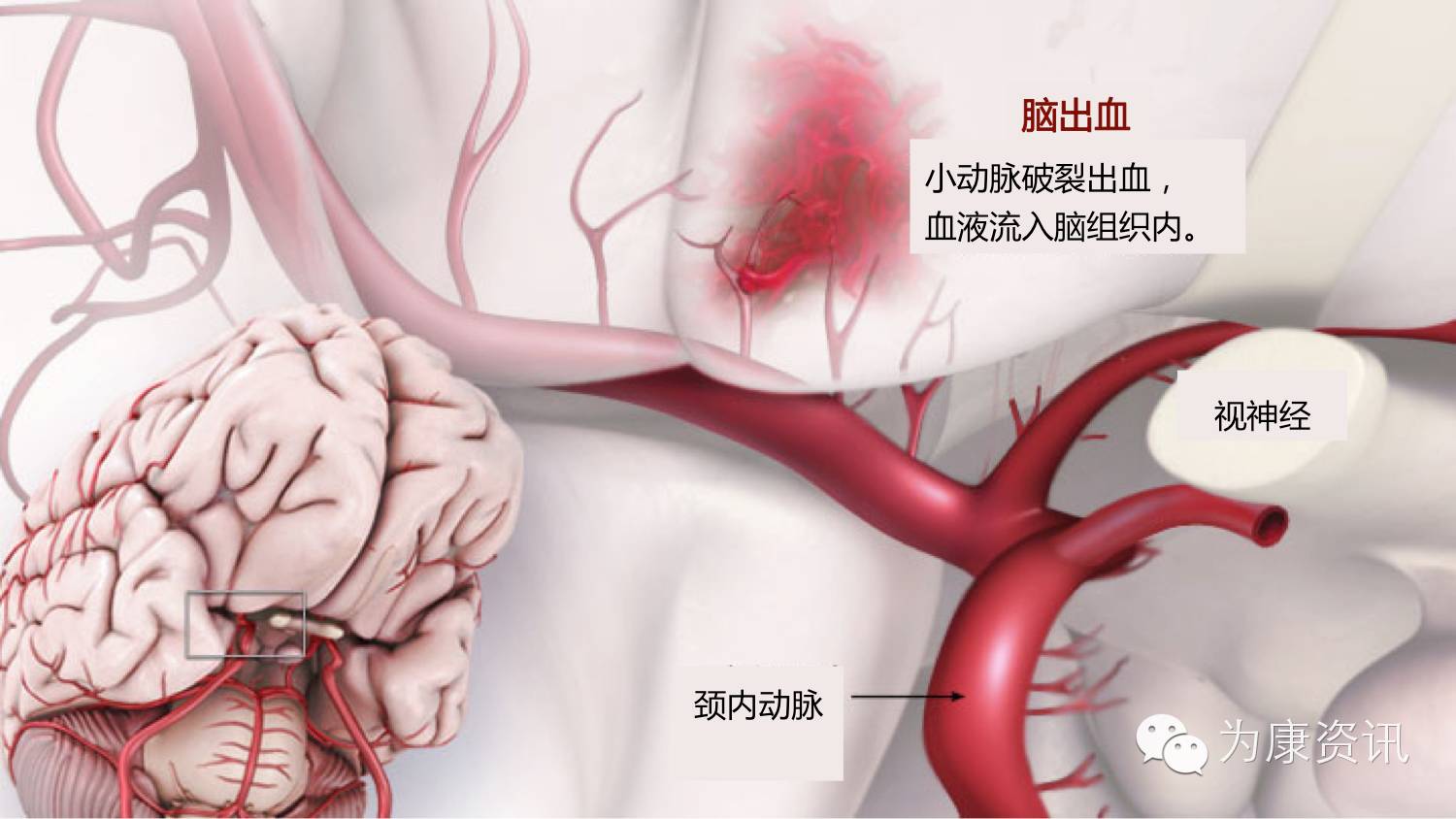 黑龙江不孕不育医院排名,10家试管代怀会不会违法不容错过