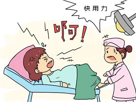 试管取卵4个大概能成功几个(取卵4个成功率多少)