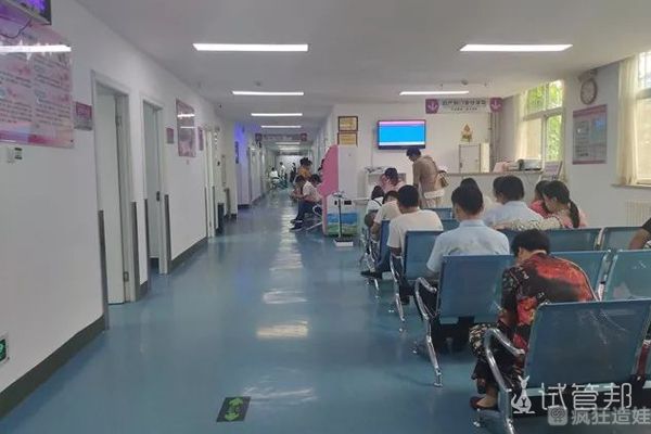 有没有人去哈尔滨试管代生挑男女费用啊,去哈尔滨做试管安全吗,多少钱,很害怕被骗了