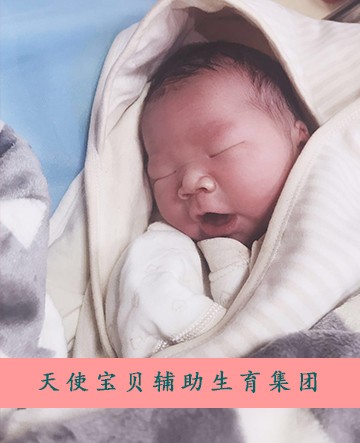 黑龙江市立医院生殖科哪位医生助孕代生包成功移植技术好