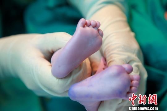 试管代怀和人工受怀双胞胎几率有多大（看完这篇就知道了!）