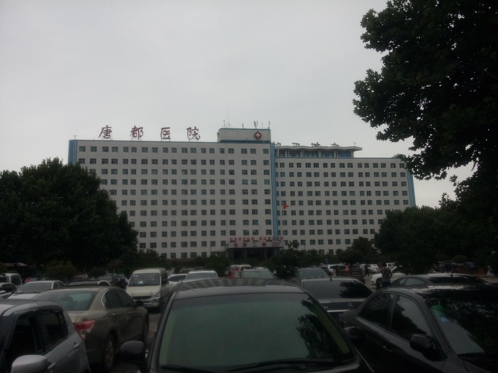 国内公立医院做第哪里试管代怀便宜要求提供哪些证件材料
