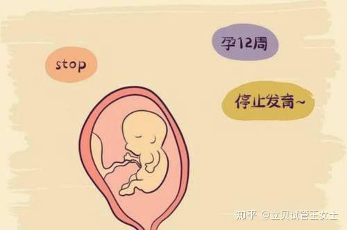 哈尔滨试管代怀包成功哪家好包生儿子价格（黑龙江附一代怀包生男孩费用婴儿需多少钱）