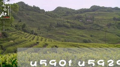 满足保险规定的二孩政策试管代怀失败条件后,被保人可获得理赔