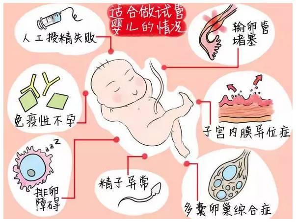 单身男性合法代生条件
