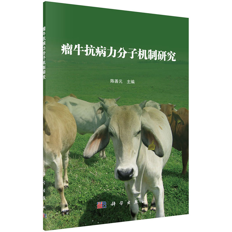 供卵代生包男孩前期准备工作怎么做