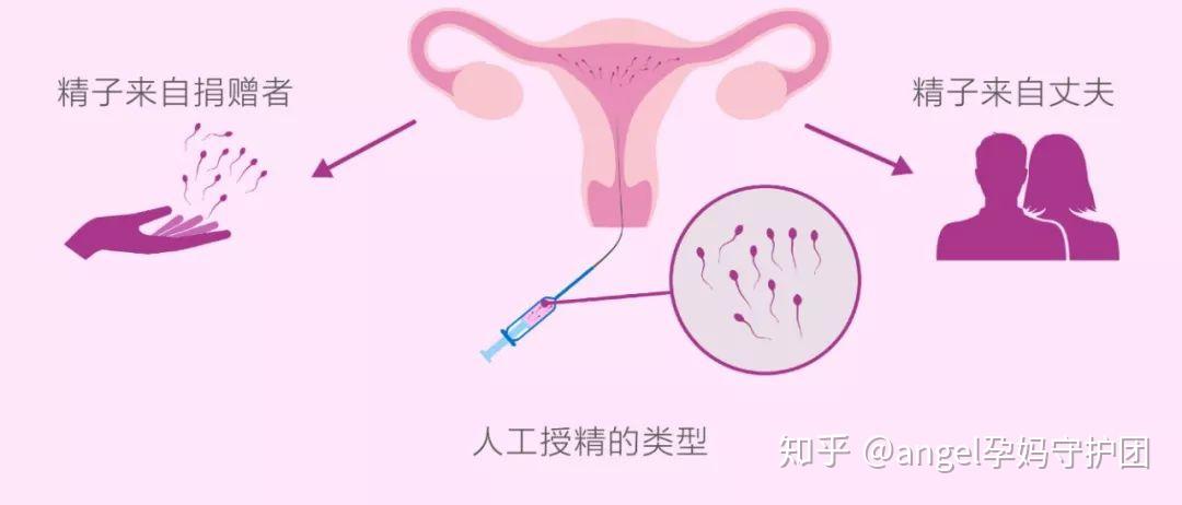 黑龙江哪家医院求试管代怀女生成功率高