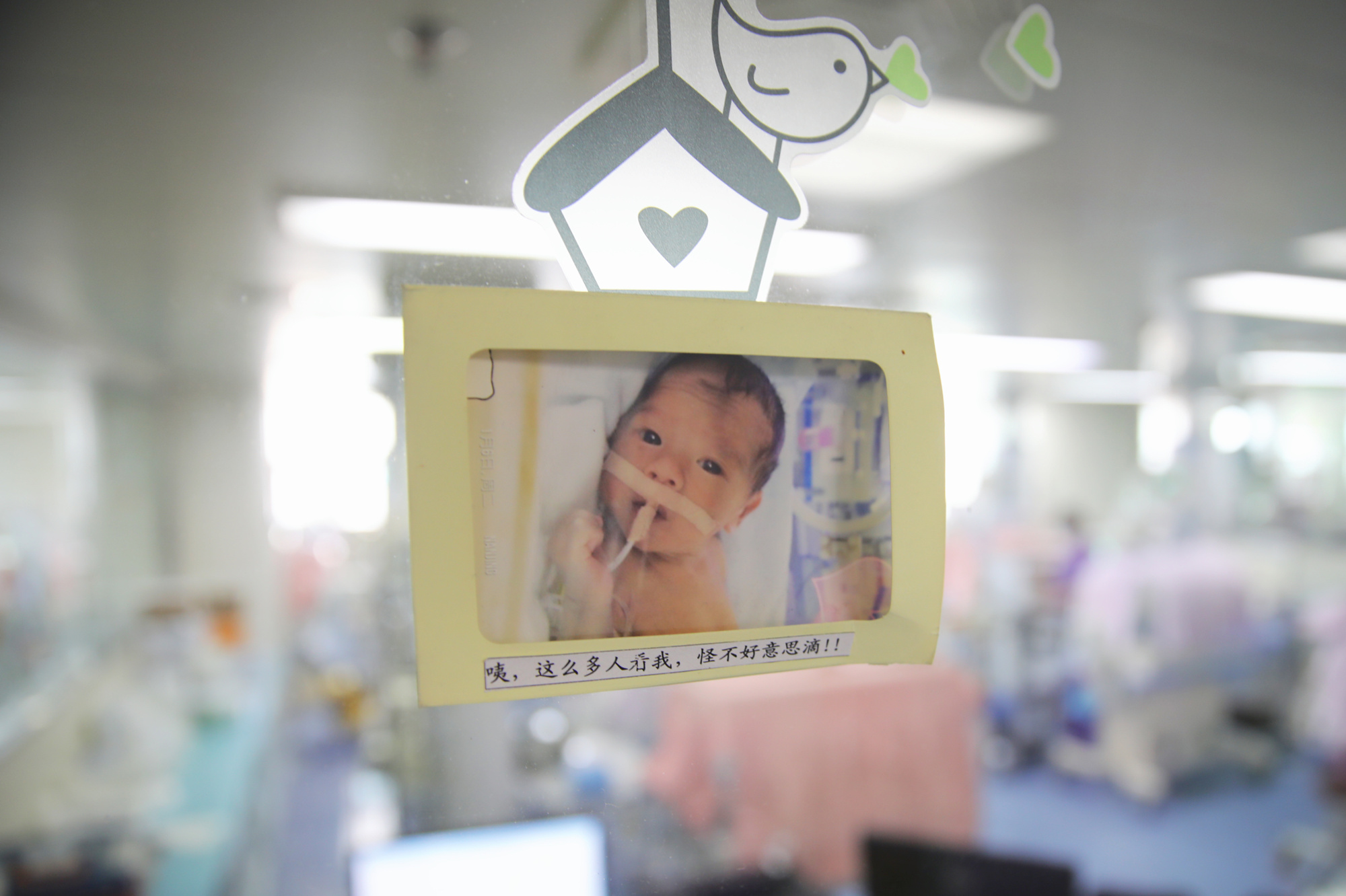 试管代生包性别移植成功减胎_医院供卵试管代怀合同胚胎移植为什么别人能一次成功