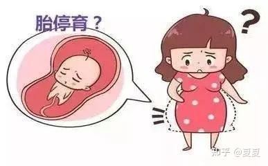 苏杭试管代怀网婴儿用曲普瑞林是为什么