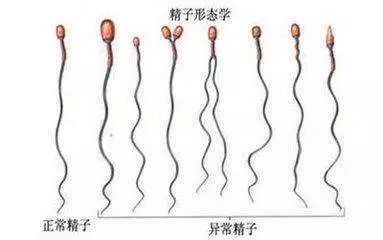 黑龙江市中心医院代怀选男女机构费用大约多少钱,单周期试管助孕价格表参考