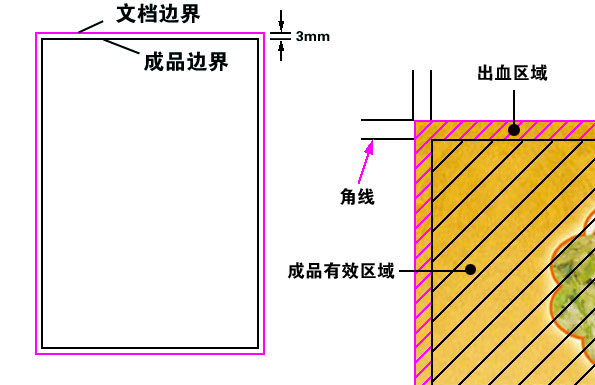 排了两个优势卵泡会怀双胞胎吗（可能没有你想象的简单）