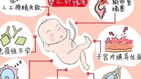 2024黑龙江市妇产医院试管代怀大概多少费用做借卵试管代生费用清单全面分享