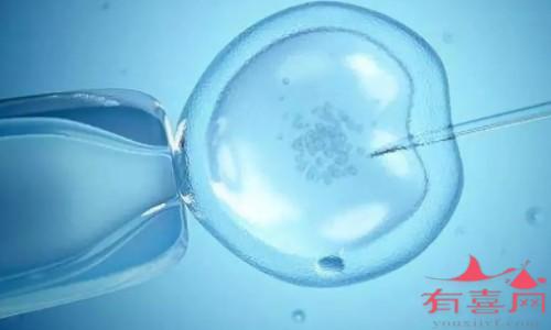 试管移植降调是什么意思