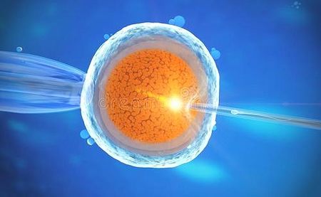 2024黑龙江试管代怀生男孩费用医院排名,附成功率及费用介绍