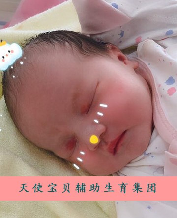 黑龙江黑龙江试管代怀靠谱吗医院能够做第3代试管代怀网哪家好技术的有哪些