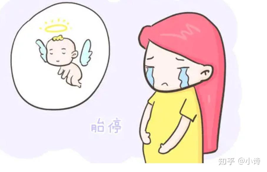 做了试管代怀的原因能上班吗供卵试管代怀中心移植完注意事项