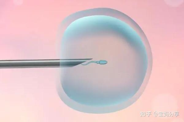 人类精子库是怎么取精子的+库怎样取的