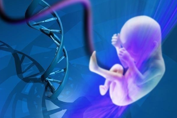 人类精子库是怎么取精子的+精子库怎样取精子的