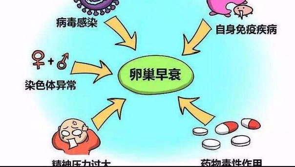 2024中信湘雅试管费用明细表,前期检查到验孕每一笔都很详细