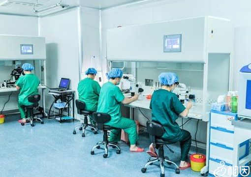 做了两次人工受精都没怀上,转做二代供卵助孕公司,希望顺利好孕