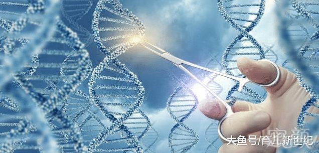精子库申请精子流程已婚女性,附-申领流程