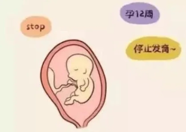 寻找清华男生供精()
